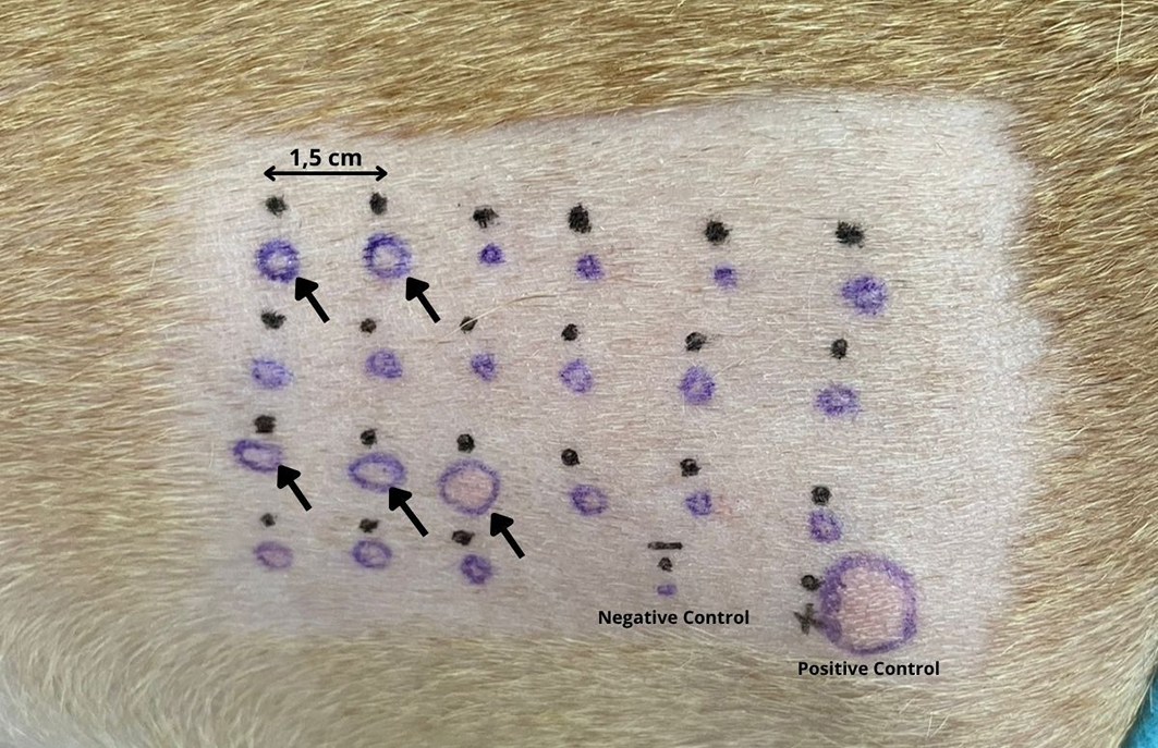 Avaliação da sensibilização a alérgenos ambientais por teste cutâneo em cães com dermatite atópica – revisão de literatura